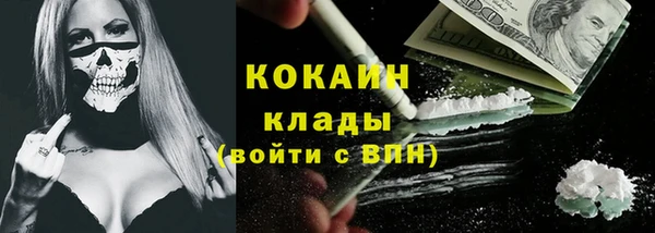 гидра Каменка
