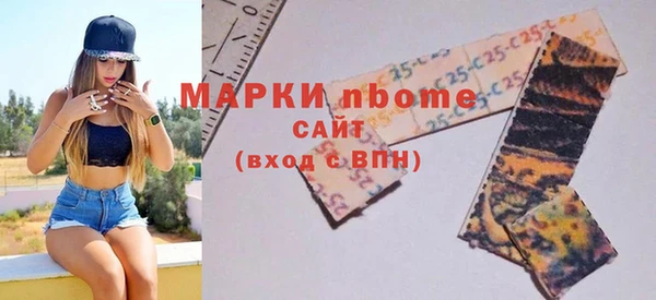 гидра Каменка