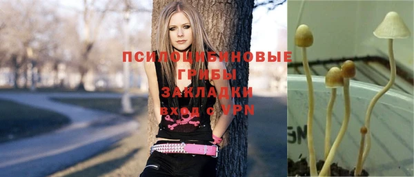 гидра Каменка