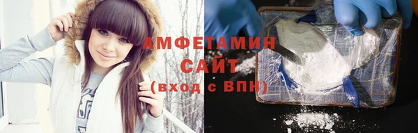гидра Каменка