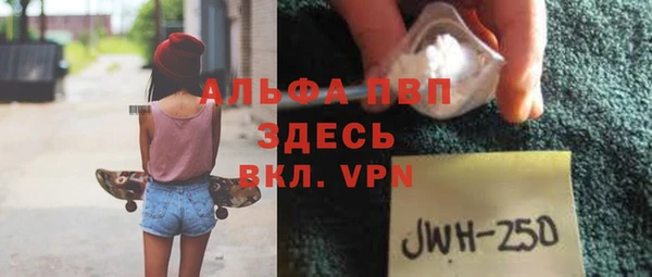 гидра Каменка