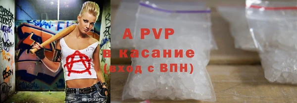 гидра Каменка