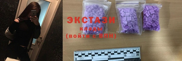 гидра Каменка