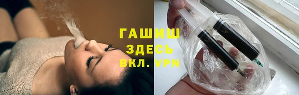 гидра Каменка