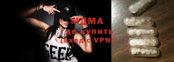 гидра Каменка