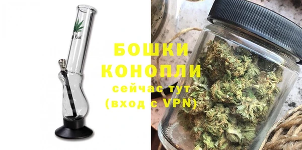 гидра Каменка