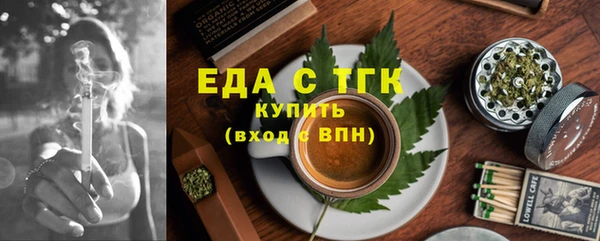 гидра Каменка