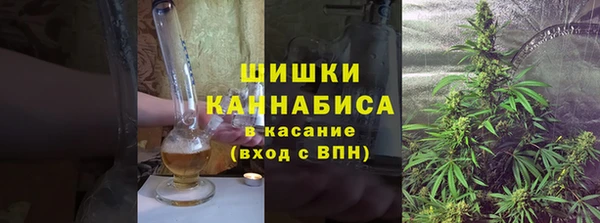 гидра Каменка