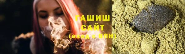 гидра Каменка